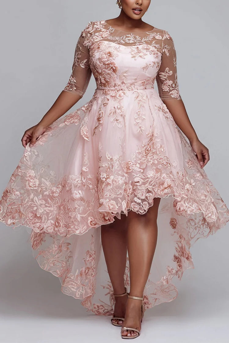 Semi Formal Pink Round Neck Half Sleeve Asymmetric Hem Elegant See Through Lace Midi Dress