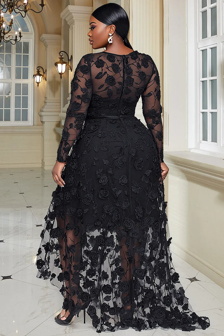 Black Round Neck Long Sleeve Asymmetric Hem Elegant See Through Lace Maxi Dresses
