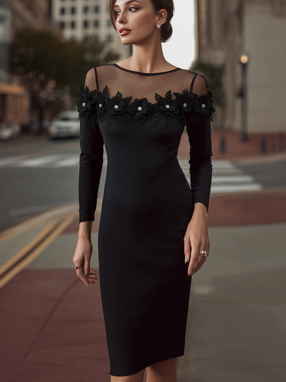 Embellished Floral Appliqué Mesh Yoke Midi Dress