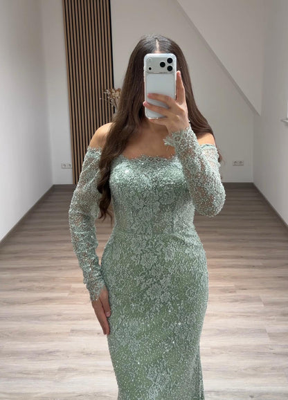 Elegant Long Sleeves Scoop Sequins A-Line Evening Dress