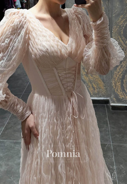 Charming Long Sleeves V-Neck Appliques Prom Dress